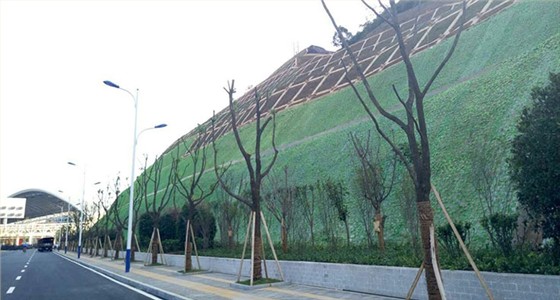 边坡绿化工程案例