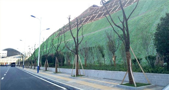 贵阳机场高速边坡绿化工程
